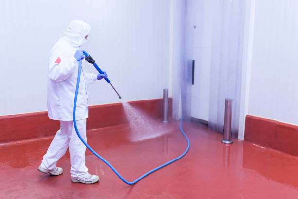 Best Fleet Vehicle Washing  in Hightstown, NJ